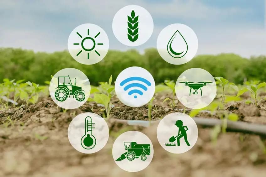 Connected agriculture illustration over a planted field